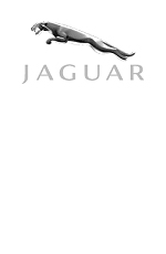 logo-dizajn-jaguar