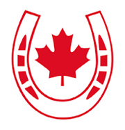 logo-dizajn-kanada2